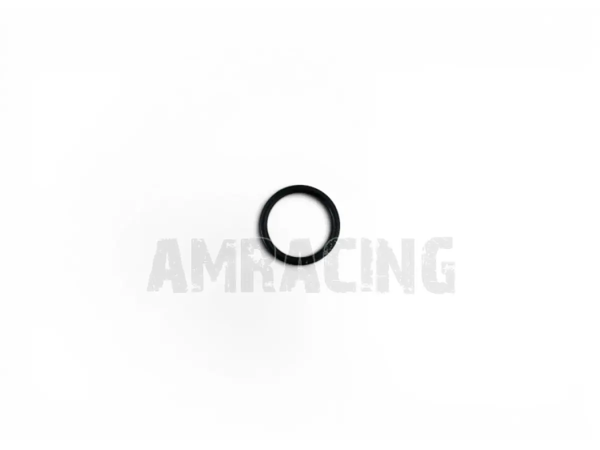 O RING TAPPO M 0160-20